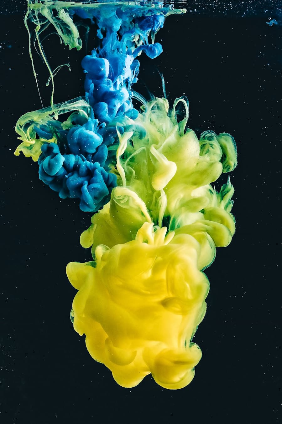 Photo "The Future of Synthetic Biology in Manufacturing Bio-Based Plastics"