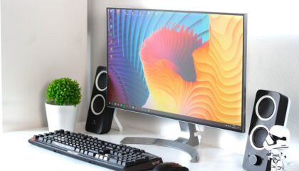 Photo "How to Set Up Dual Monitors for Maximum Productivity"