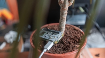 Photo "How to Build a Smart Plant Monitor with Arduino and Sensors"