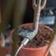 Photo "How to Build a Smart Plant Monitor with Arduino and Sensors"