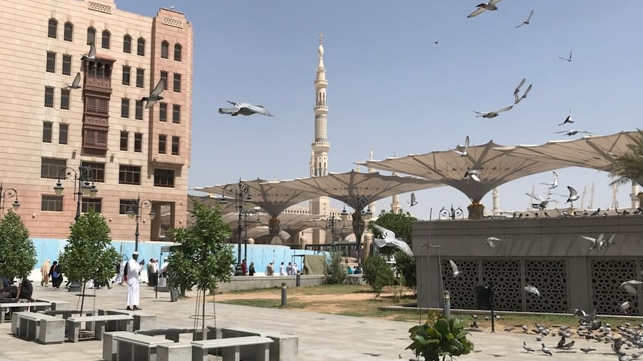 Photo "The Future of Election Campaigns Held in Metaverse Arenas"