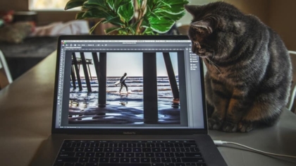 Photo "How to Use AI Tools to Edit and Enhance Your Photos Automatically"