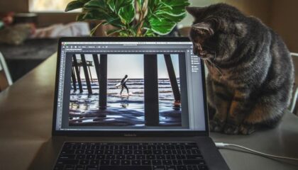 Photo "How to Use AI Tools to Edit and Enhance Your Photos Automatically"