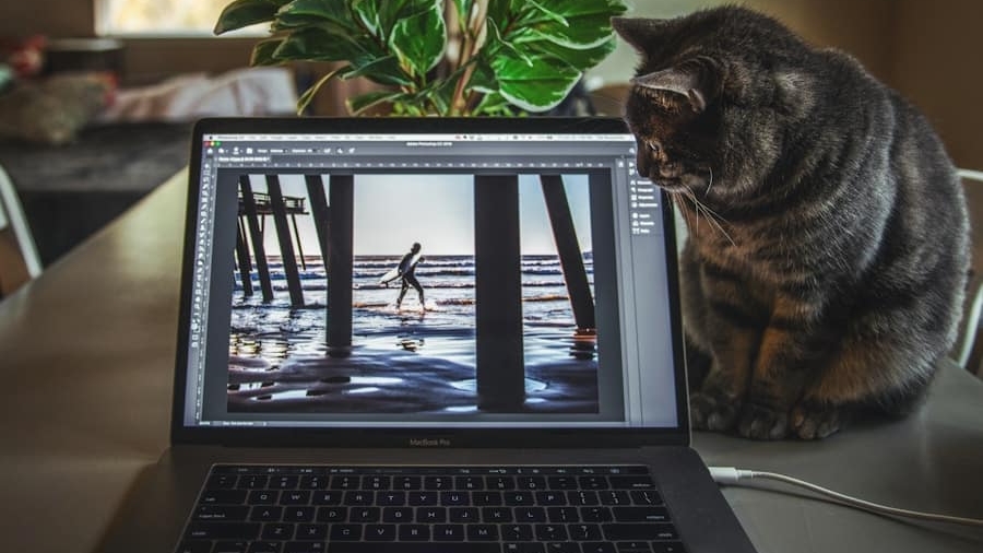 Photo "How to Use AI Tools to Edit and Enhance Your Photos Automatically"