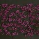 Photo How CRISPR 30 Will Redefine Genetic Modification Limits