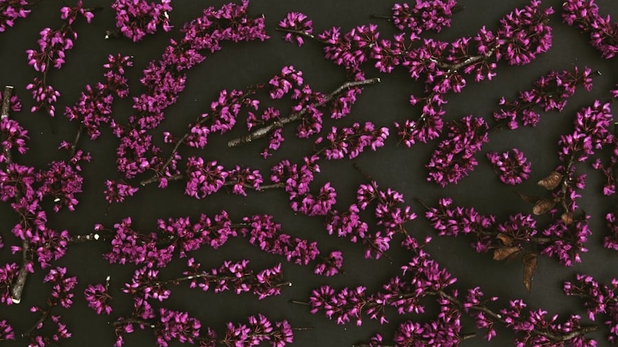 Photo How CRISPR 30 Will Redefine Genetic Modification Limits