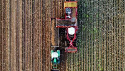 Photo "How AI-Powered Drones Are Conducting Thermal Scanning in Agriculture"