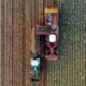 Photo "How AI-Powered Drones Are Conducting Thermal Scanning in Agriculture"
