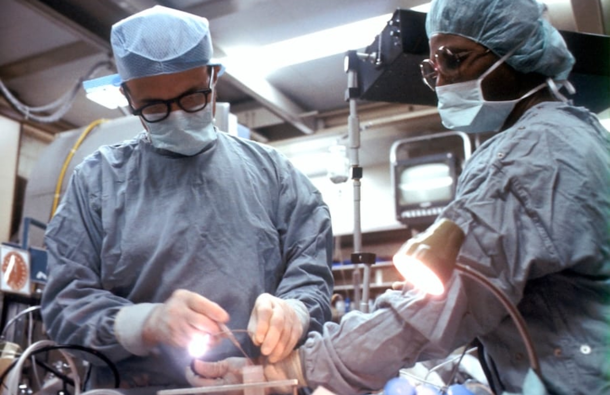 Photo "How Lab-Grown Organs Are Reshaping Organ Transplantation"