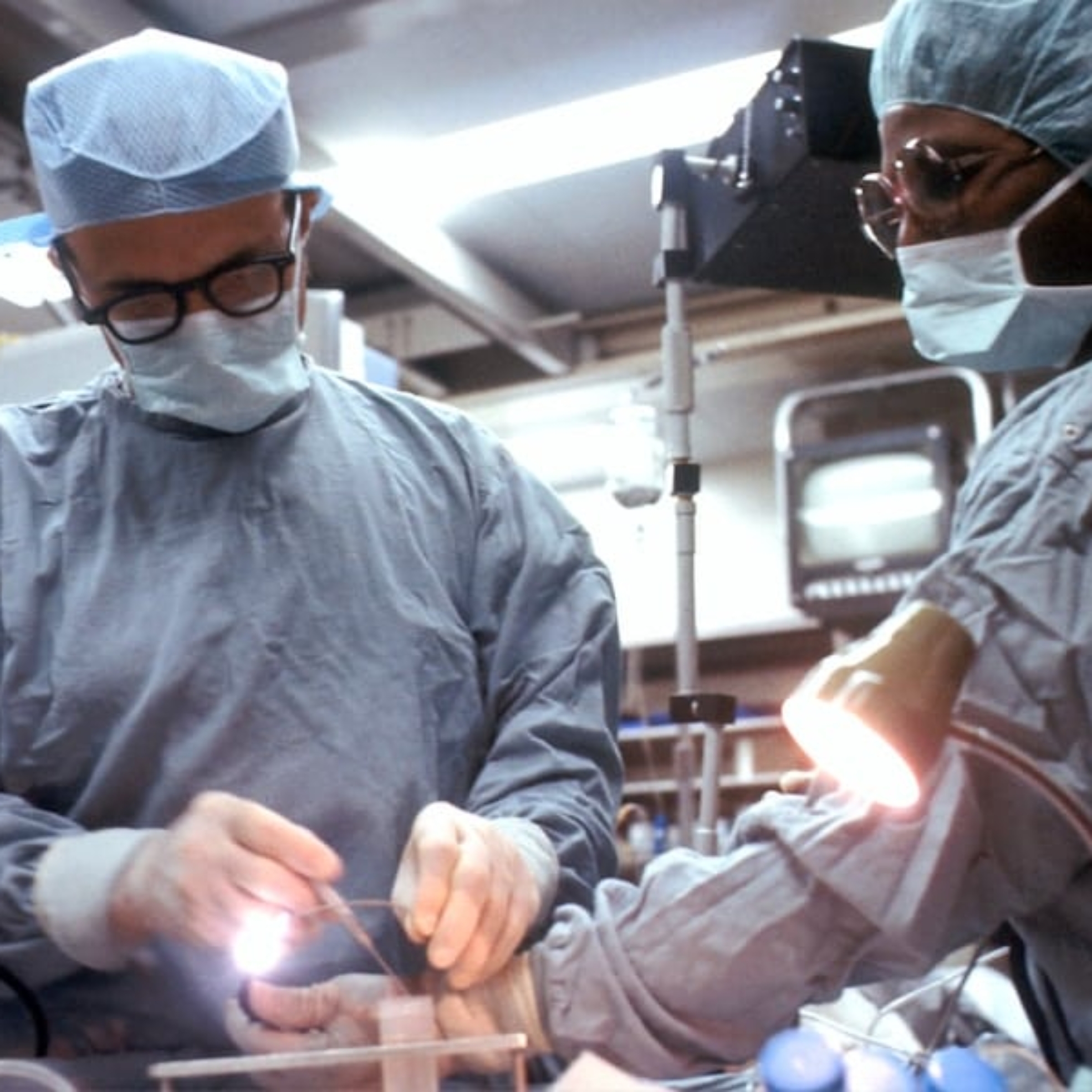 Photo "How Lab-Grown Organs Are Reshaping Organ Transplantation"