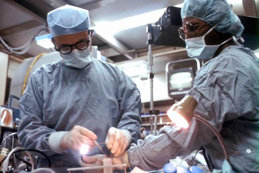 Photo "How Lab-Grown Organs Are Reshaping Organ Transplantation"