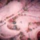 Photo The Future of AI-Integrated Nanorobots in Medicine