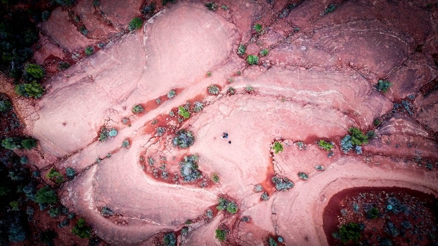 Photo The Future of AI-Integrated Nanorobots in Medicine