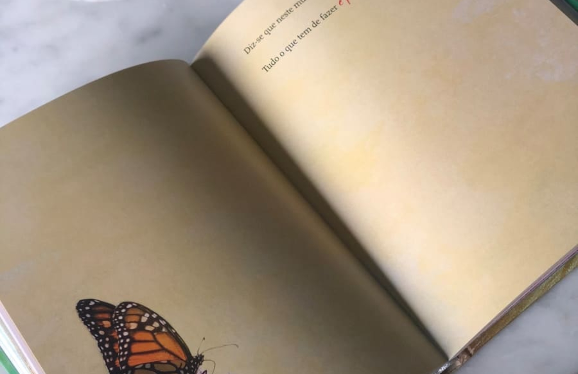 Photo "How AR Is Elevating Printed Books into Interactive Experiences"