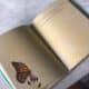 Photo "How AR Is Elevating Printed Books into Interactive Experiences"