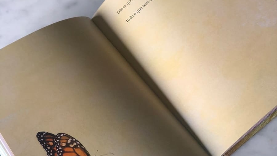 Photo "How AR Is Elevating Printed Books into Interactive Experiences"