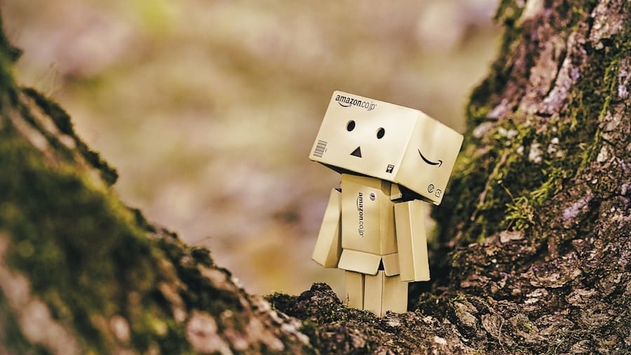 Photo The Future of Companion Robots in Mental Health Support