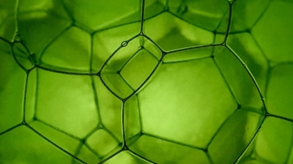 Photo How Programmable Biology Is Producing Renewable Industrial Materials