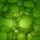 Photo How Programmable Biology Is Producing Renewable Industrial Materials