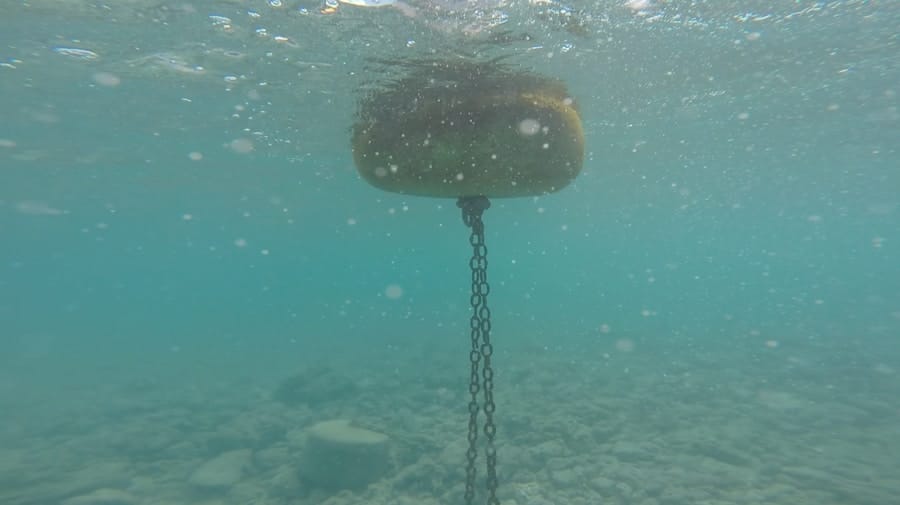 Photo "The Future of Underwater Robots in Marine Conservation"