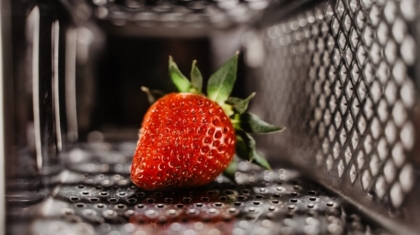 Photo "How AI-Powered Robotics Are Supporting Food Safety Monitoring"