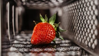 Photo "How AI-Powered Robotics Are Supporting Food Safety Monitoring"