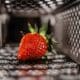 Photo "How AI-Powered Robotics Are Supporting Food Safety Monitoring"