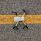 Photo "How Drones Are Being Used for Road and Bridge Safety Audits"
