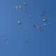 Photo "How Swarm Drones Are Powering Large-Scale Surveillance Projects"