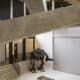 Photo How Robots Are Assisting in Museum and Exhibit Navigation