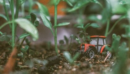Photo "How Agricultural Robotics Is Addressing Labor Shortages"