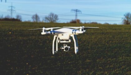Photo "The Role of AI in Drone-Based Livestock Management"