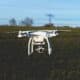 Photo "The Role of AI in Drone-Based Livestock Management"