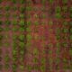 Photo "How Drones Are Assisting in Reforestation and Seed Planting"