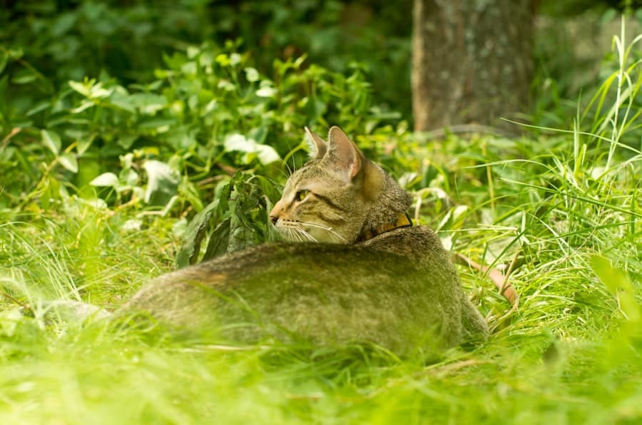 image 904