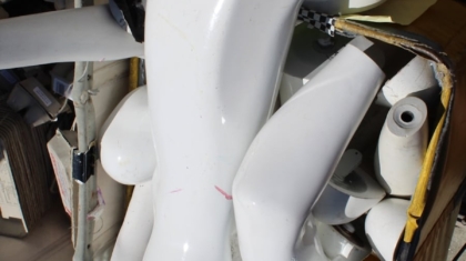 Photo "The Future of Multi-Purpose Domestic Service Robots"