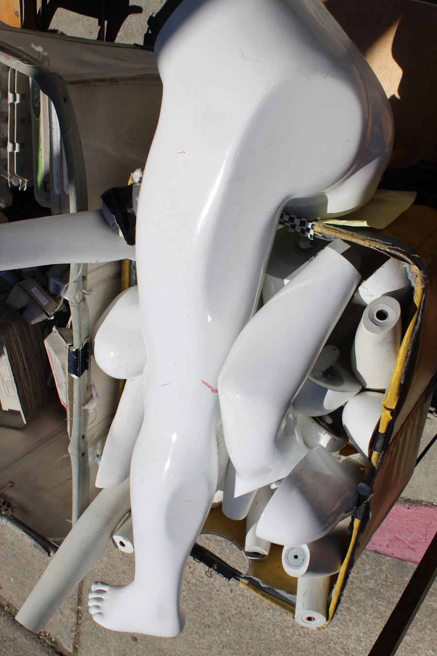 Photo "The Future of Multi-Purpose Domestic Service Robots"
