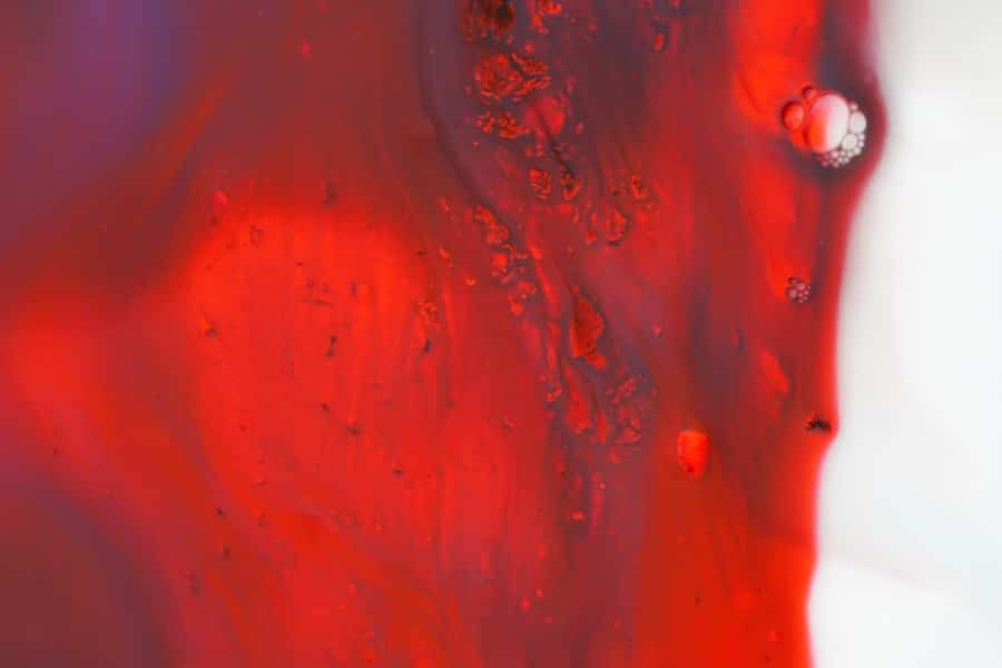 Gut bacteria