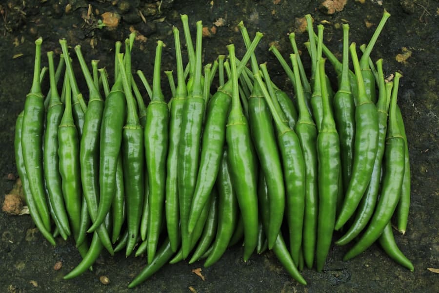 Genetically modified crops