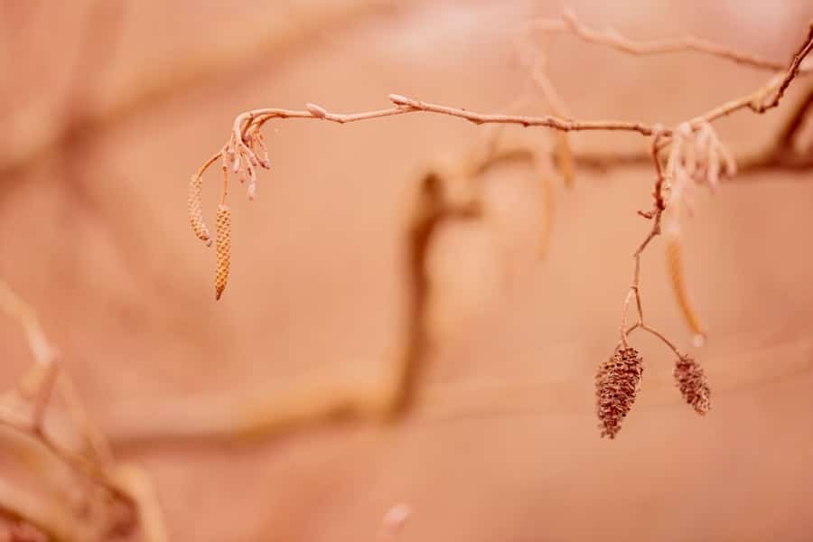 Bioprinted skin