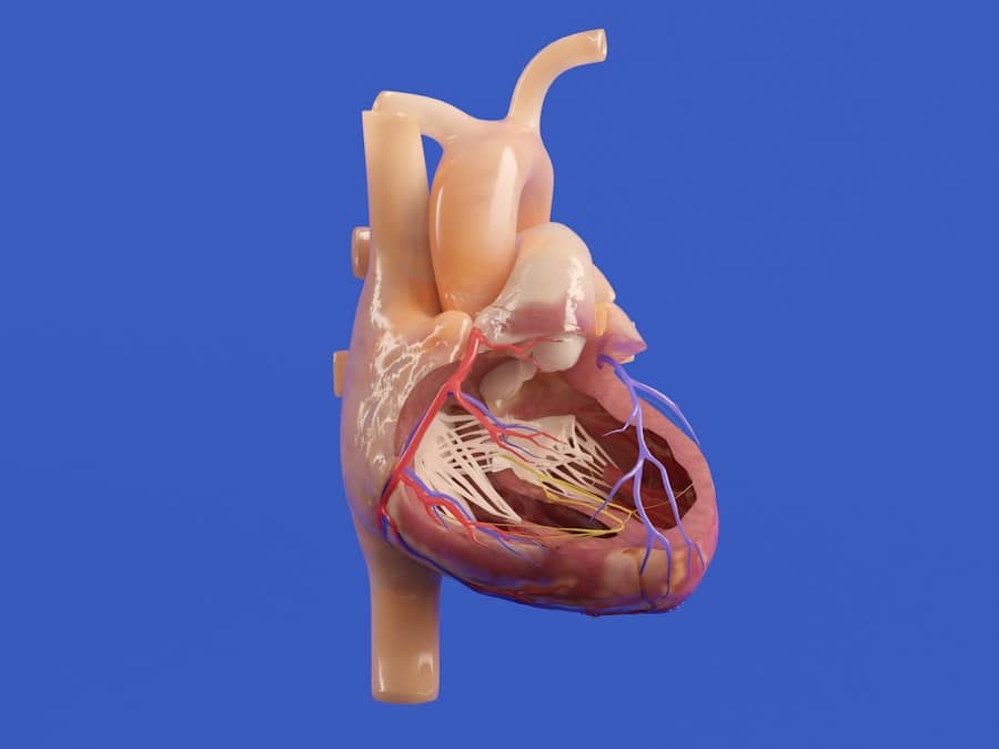 Medical simulation