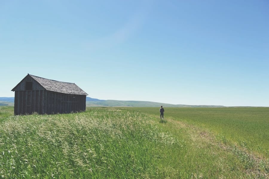 Virtual landscapes