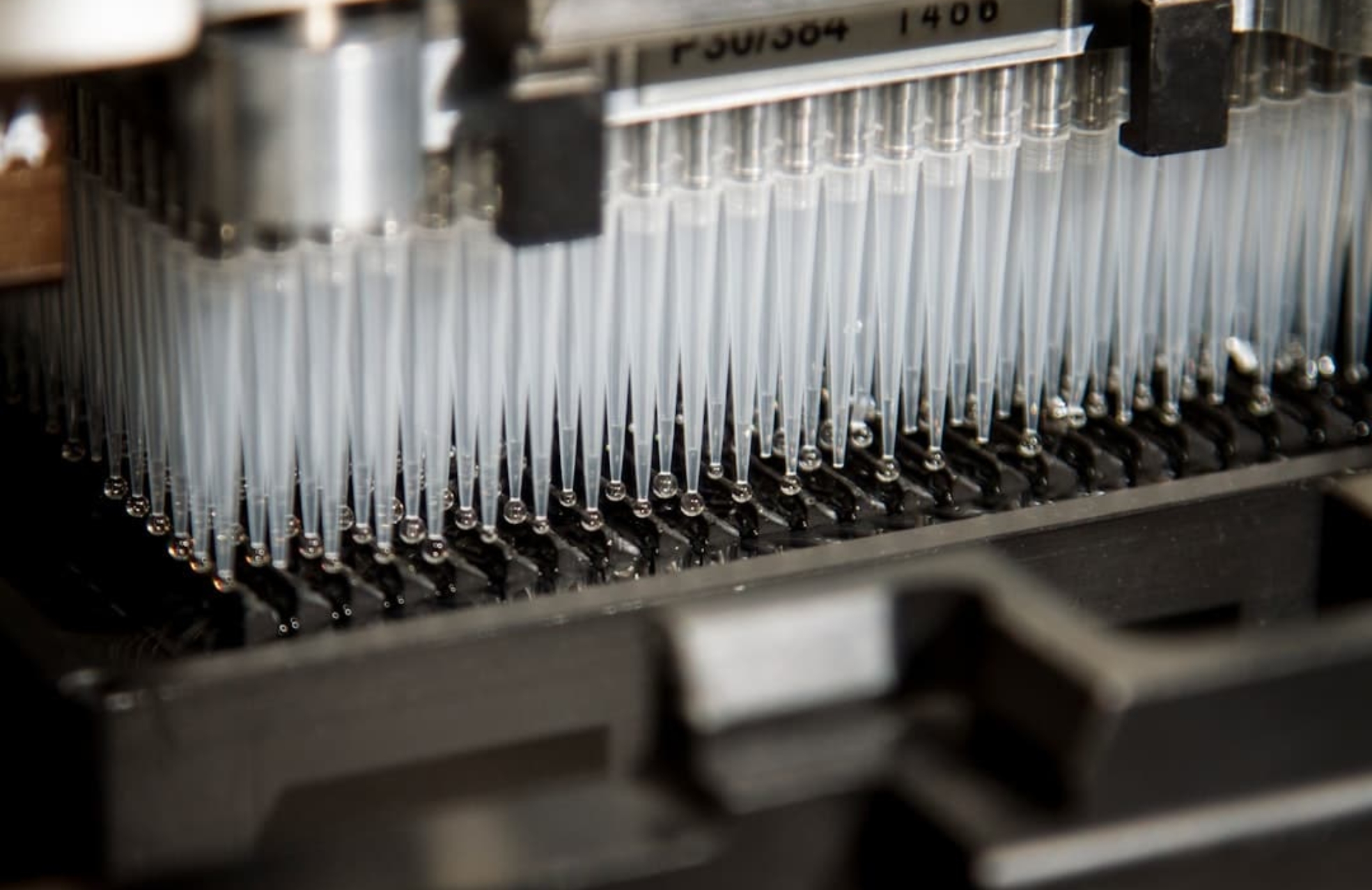 Photo DNA sequencing