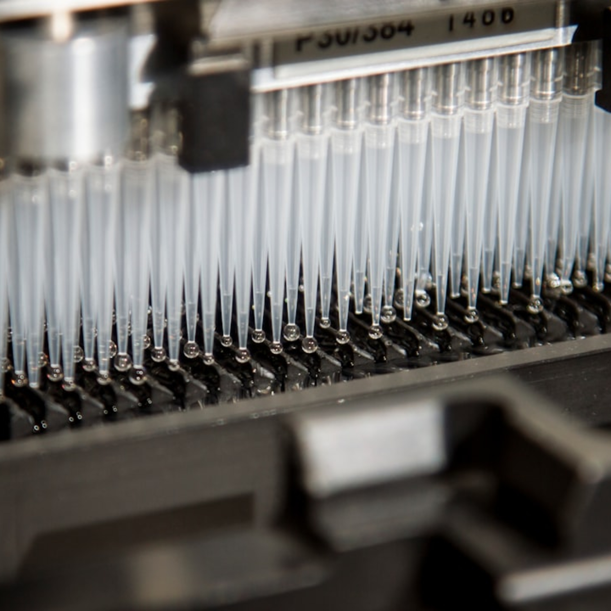 Photo DNA sequencing