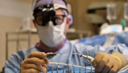Photo Virtual dissection