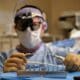 Photo Virtual dissection