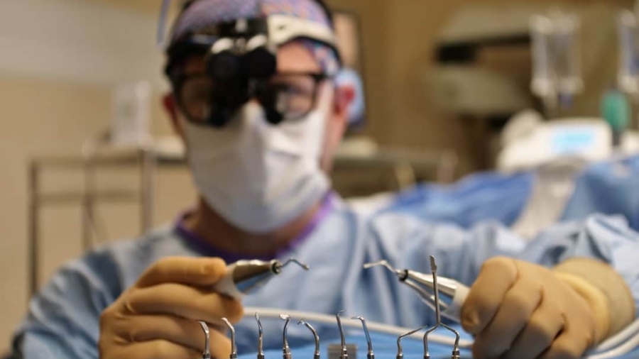 Photo Virtual dissection