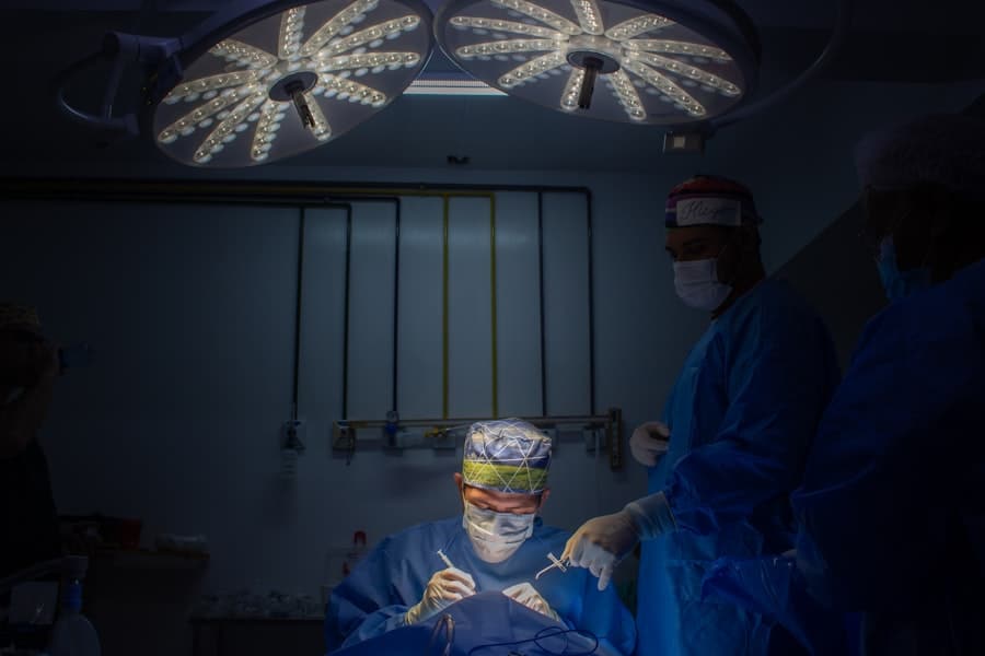 Photo Virtual dissection