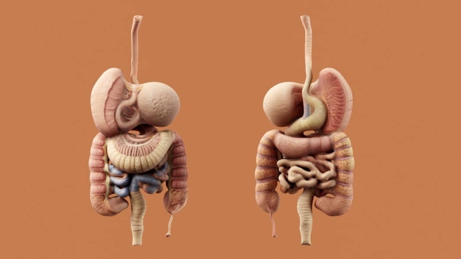 Photo Medical simulation