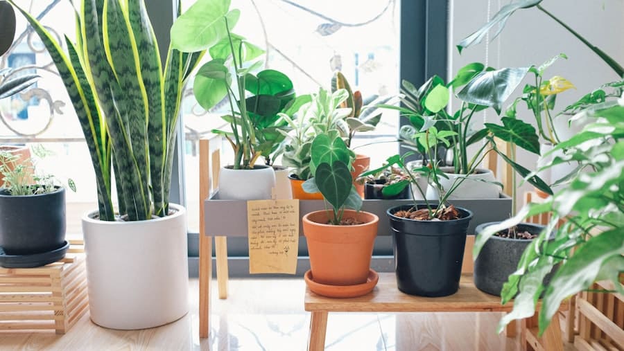 Photo Smart Home Ecosystem
